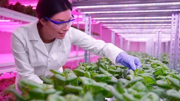 El desarrollo de Guadalupe Murga