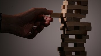 Investigación: Por qué elegimos el