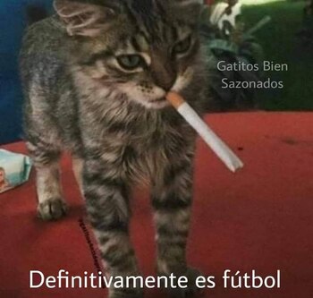 Los mejores memes que dejó la derrota de Junior y la victoria de Millonarios por la quinta jornada de la Liga BetPlay.