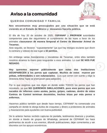 Foto: Seres Libres / Captura