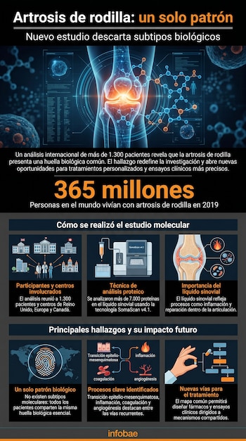 Infografía detallada sobre artrosis de rodilla, mostrando una articulación brillante, estructuras moleculares, gráficos de datos y métodos de estudio.