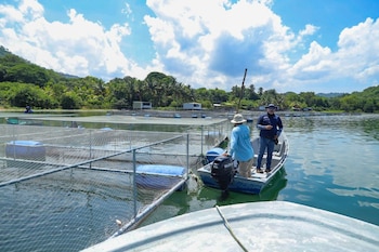 La creación de la Autoridad