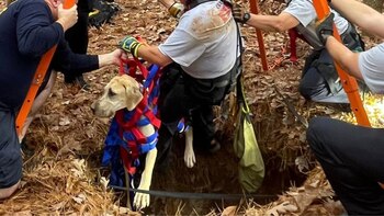 Momento en el que sacan