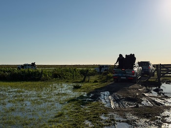 Continúa la búsqueda de Nancy Godoy, la docente rural desaparecida en Corrientes