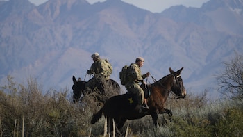 Un actor fundamental para los