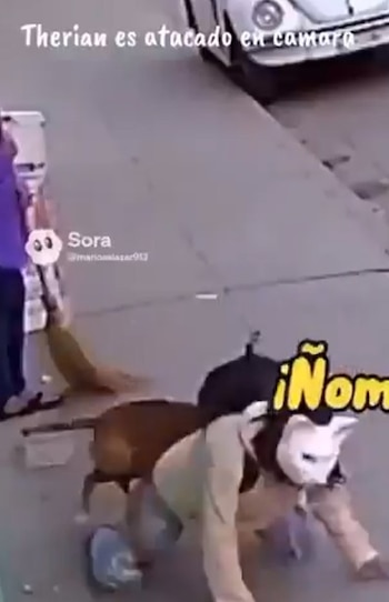 El incidente quedó registrado en