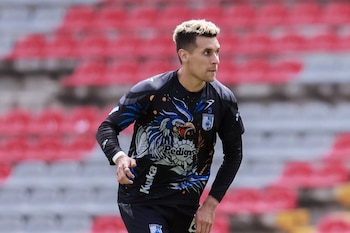 En cuanto a los detalles