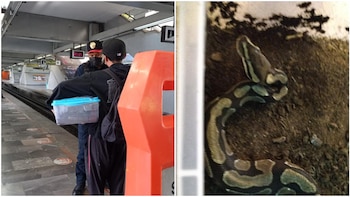 Joven que intentó ingresar al