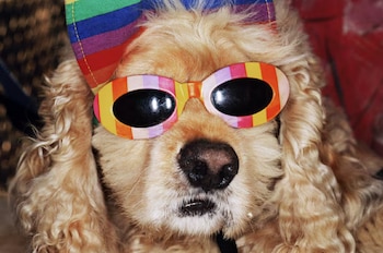 (Crédito: Martin Parr / Magnum