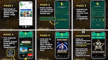 Cómo votar por tu imitador