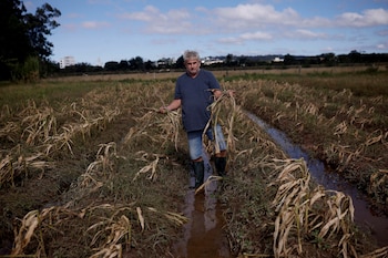 Ademilson Tardetti muestra las pérdidas
