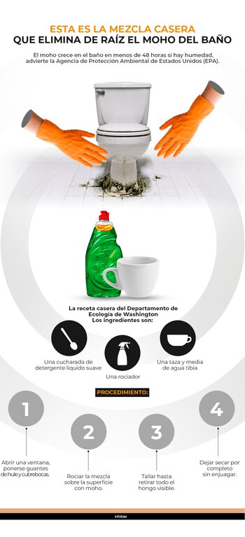 La receta casera del Departamento de Ecología de Washington debe rociarse sobre la superficie, tallarse y dejarse secar por completo sin enjuagar. (Gráfico Ilustrativo Infobae México)