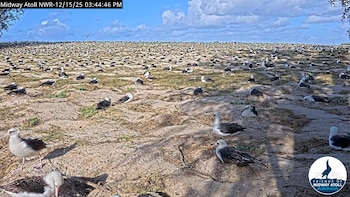 Una cámara instalada en el