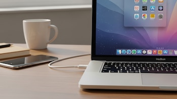 Limitar la carga al 80%,