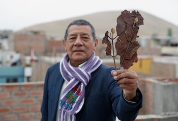 ACOMPAÑA CRÓNICA: PERÚ NATURALEZA -