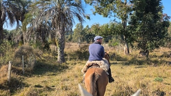 Los circuitos de senderismo y las propuestas de cabalgata permiten explorar entornos nativos rodeados de naturaleza a pocos minutos de la ciudad (Turismo Concordia)