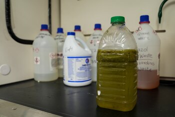 Las microcistinas, toxinas de las