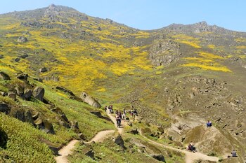 Lomas de Mangomarca cuentan con