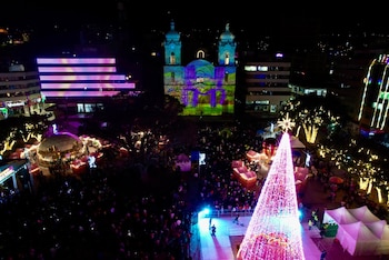 El Paseo del Oso ofrece