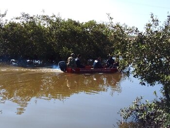 Elementos de la Secretaría de