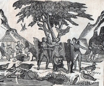 Los vespertilio-homo, "humanos" murciélagos lunares.