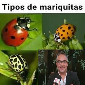 Memes Héctor Suárez Gomís y Vicente Serrano