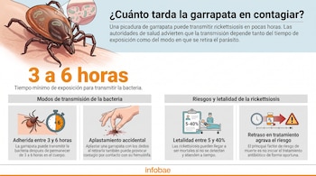 Infografía con una garrapata en la piel, un cronómetro, una mano aplastando una garrapata, iconos de estadísticas, un paciente en cama y medicamentos.