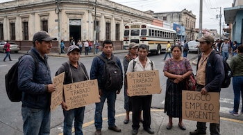 Un grupo de seis personas, incluyendo hombres y mujeres, se encuentra en una calle de la ciudad sosteniendo carteles de cartón solicitando empleo.