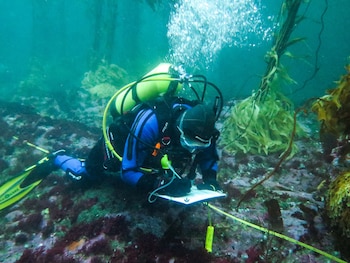 expedicion Peninsula Mitre