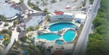 Ocho delfines continúan en cautiverio en las instalaciones de Dolphin Discovery dentro de Ventura Park, en Cancún. | Change.Org