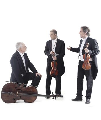 Tocaron en salas de 33