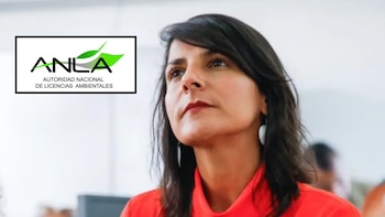 La Anla pidió rectificación a