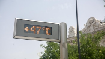 Expertos piden a la OMS declarar la emergencia sanitaria internacional por los efectos del cambio climático