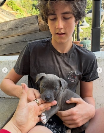 Alicia Silverstone se convirtió en