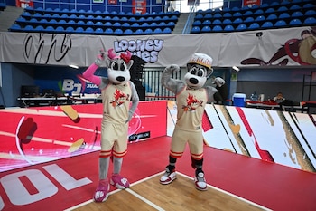 (Instagram / @diablosrojosbasquetbol)