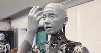 Llamado Ameca, fue creado por