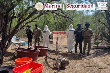 Localizan y deshabilitan un narcolaboratorio en Culiacán: fueron confiscados 100 kilos de metanfetamina. Semar