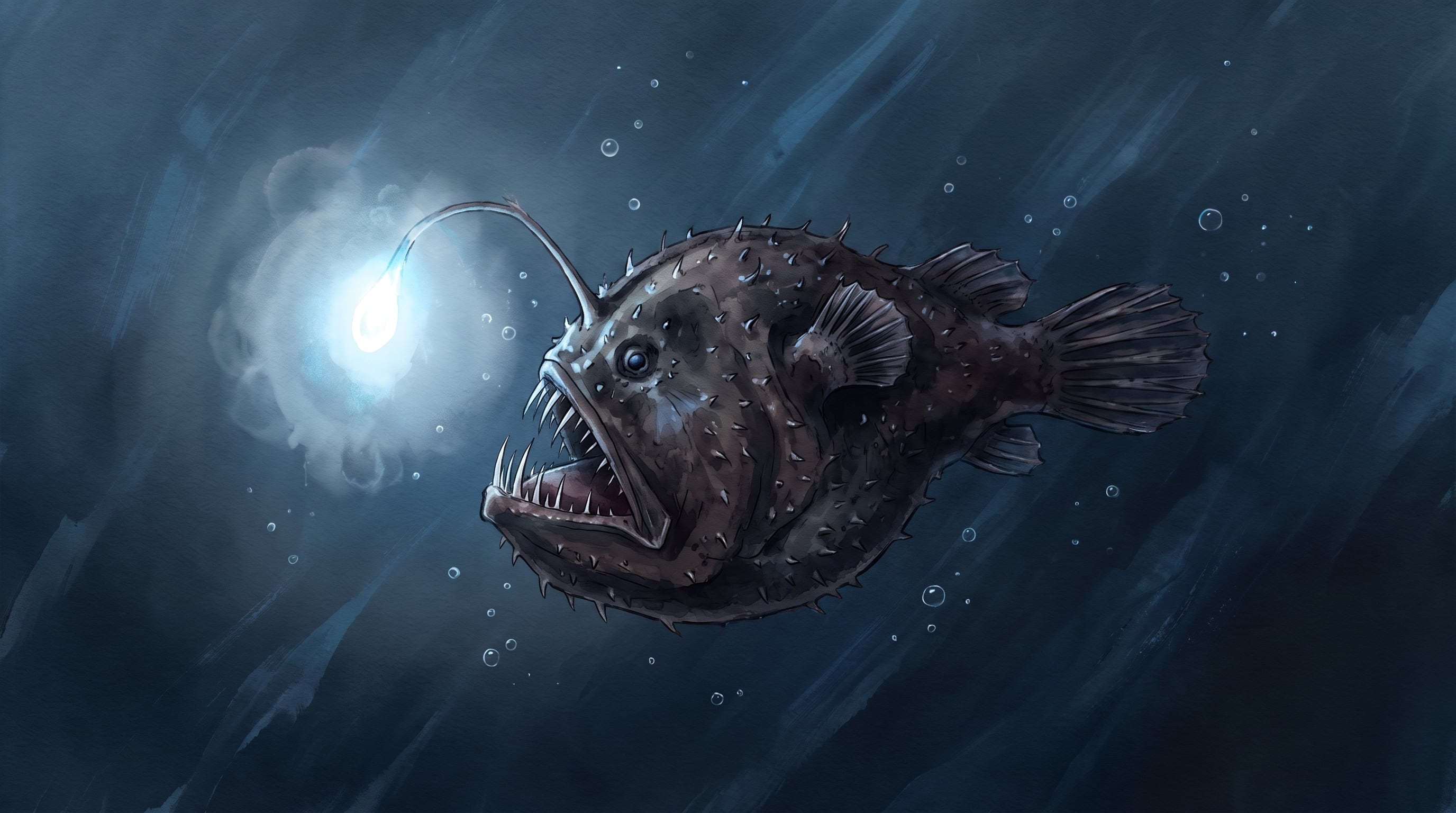 El pez balón del Pacífico volvió a aparecer varado en la costa oeste de Estados Unidos, pese a que habita en aguas abisales de observación casi inexistente (Imagen Ilustrativa Infobae)