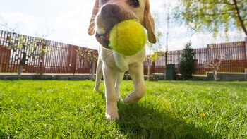 Qué cuidados tener al usar
