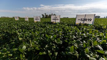 Se viene una nueva campaña