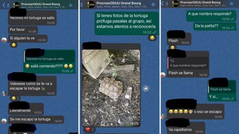 La publicación del Kimón tuvo