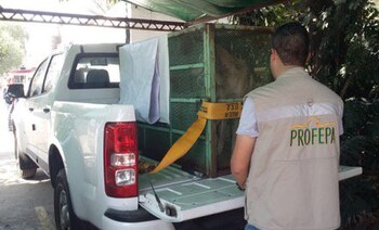 (Foto: PROFEPA)