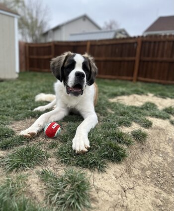 Creció y sus dueños recientemente