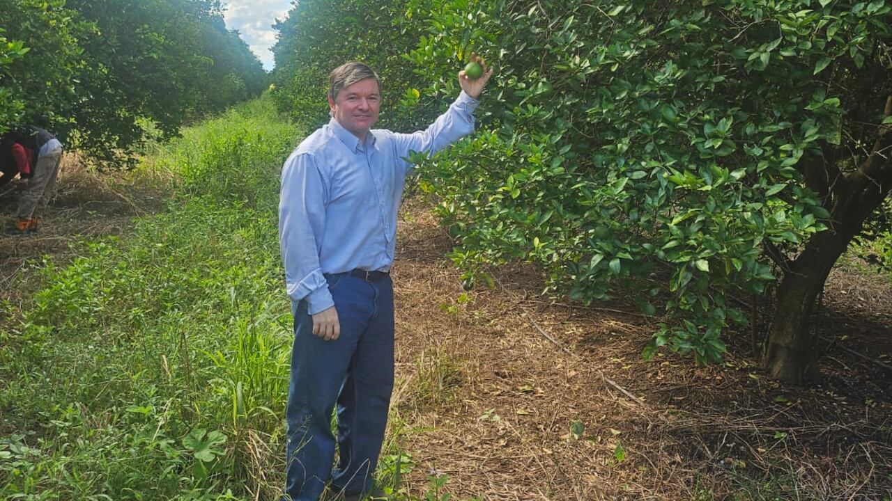 Guillermo Adolfo Ros, empresario agropecuario