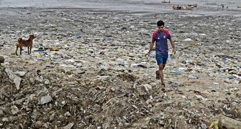 Imagen ZXD5EKR5NZCT5EIBD4BA2WJ7AM