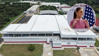Gusano barrenador: gobierno federal espera producir 100 millones de moscas estériles por semana a finales de 2026