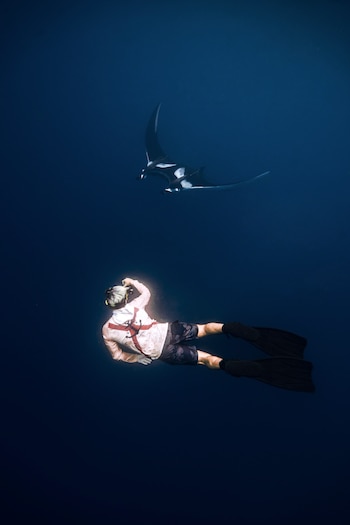 Vista aérea de una ballena jorobada grande de color gris oscuro con aletas blancas nadando junto a una cría más pequeña en agua azul brillante