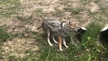 Vecinos de Canning denuncian la