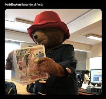 Memes sobre Paddington en Perú.