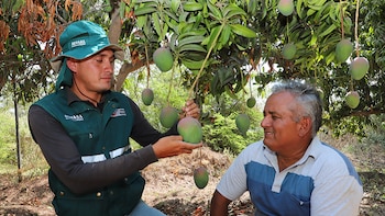 Exportaciones agrícolas peruanas a Francia